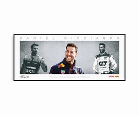 DANIEL RICCIARDO PANORAMIC COLLAGE PRINT SIGNED FRAMED WINGShandmade souvenirs