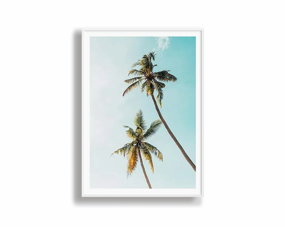 Day Palms