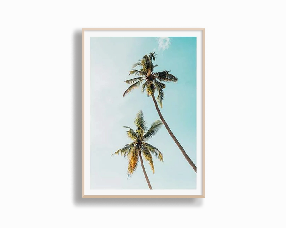 Day Palms