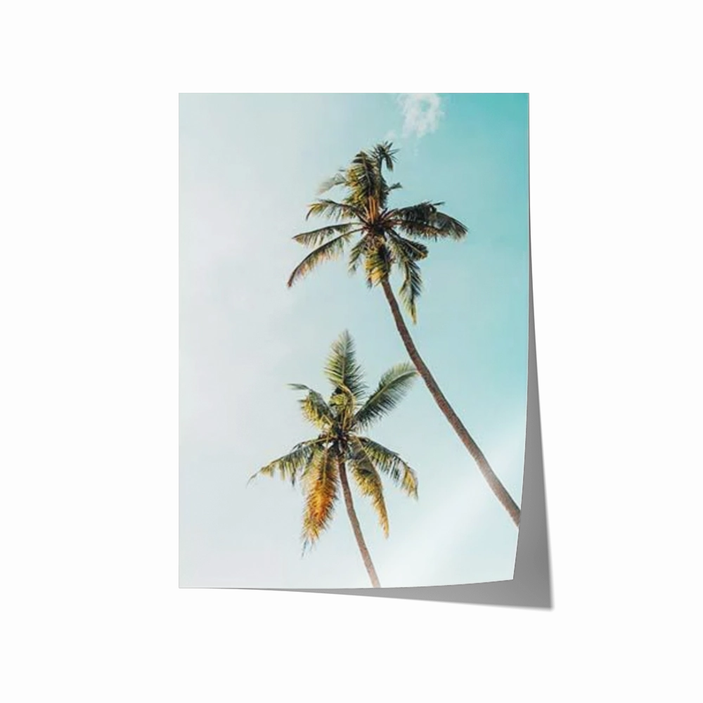 Day Palms