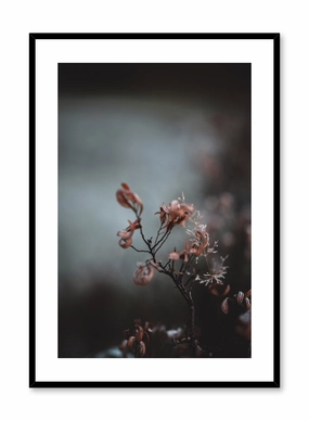 Delicate Flower, Posterpop culture themed posters