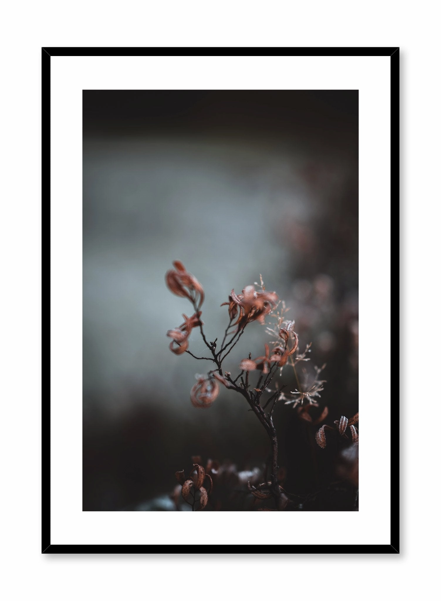 Delicate Flower, Posterpop culture themed posters