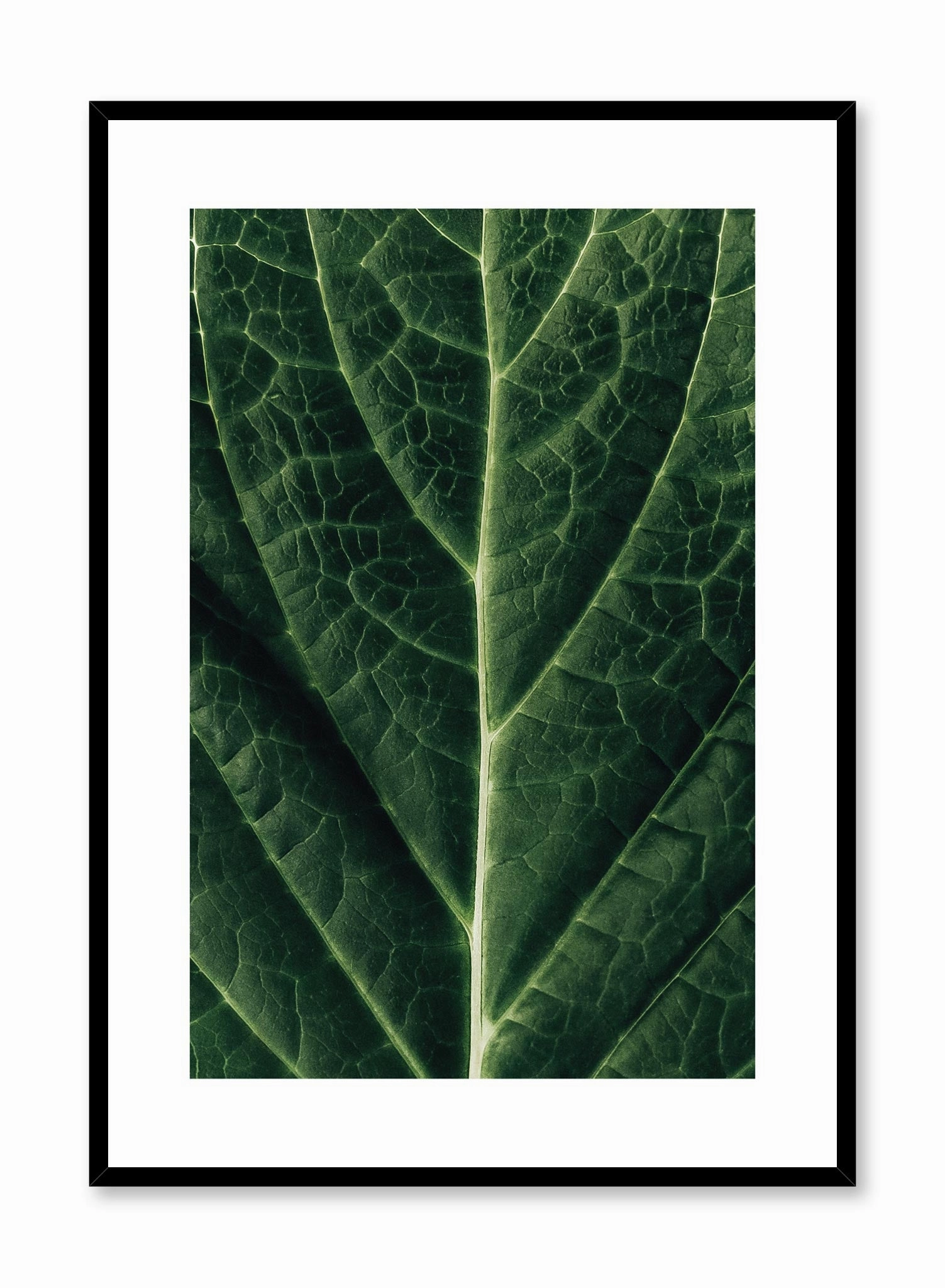 Detailed Leaf, Posterpop culture themed posters