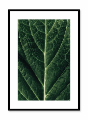 Detailed Leaf, Posterpop culture themed posters
