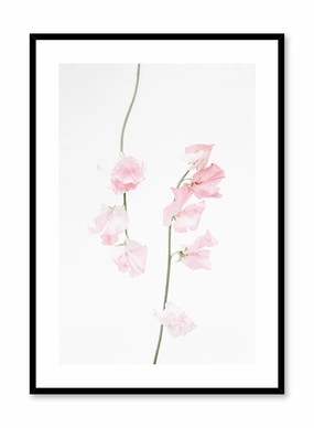 Dusty Pink, Posterpop culture themed posters