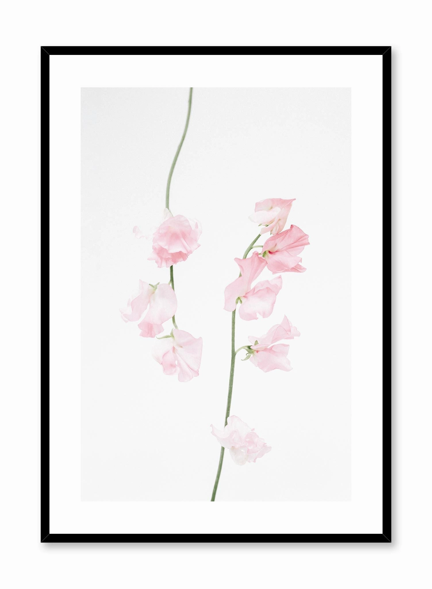 Dusty Pink, Posterpop culture themed posters