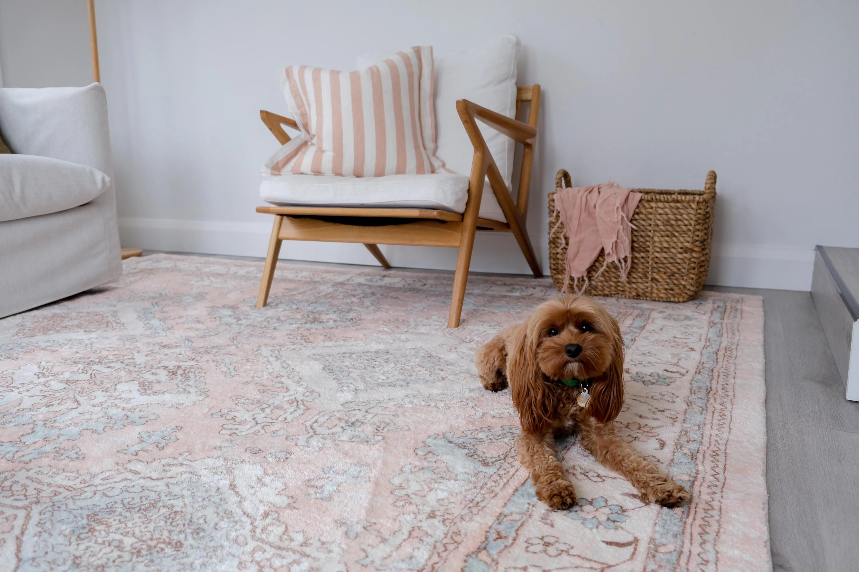 Edwina Peach and Blue Distressed Washable Rug*NO RETURNS UNLESS FAULTY