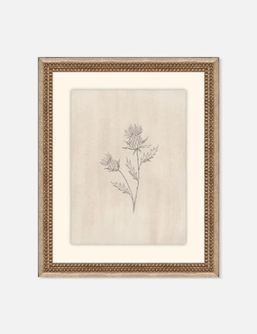 Elegant Botanical V Wall Art by Makai Howellnordic style wall decor