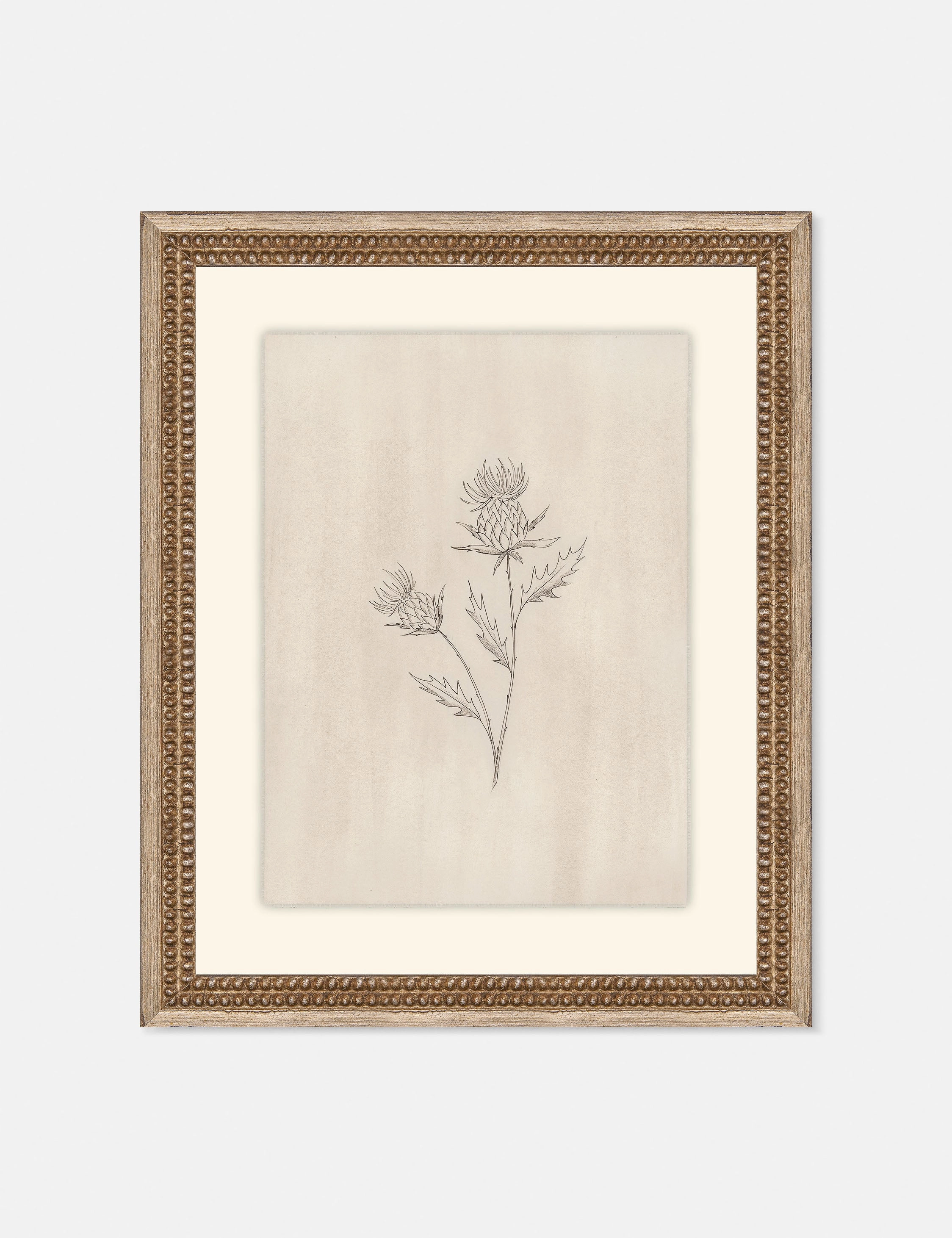 Elegant Botanical V Wall Art by Makai Howellnordic style wall decor