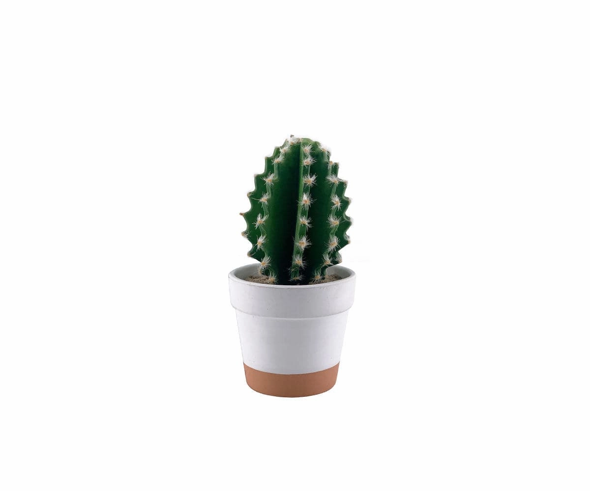 Faux Miniature Barrel Cactushome decoration ,modern home decor 