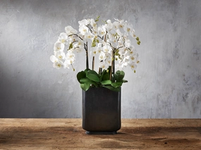 Faux Phalaenopsis in Tall Bronze Vasehome decor ,wall decor 