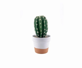Faux Potted Desert Cactushome decoration ,modern home decor 