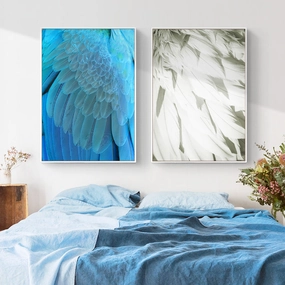 Feathers Photographic Wall Art with Framenordic style wall decor