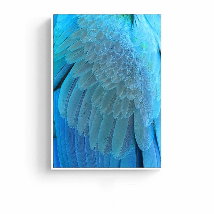 Feathers Photographic Wall Art with Frame