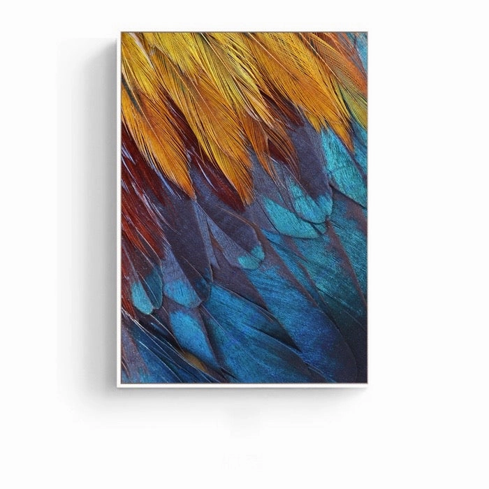 Feathers Photographic Wall Art with Frame