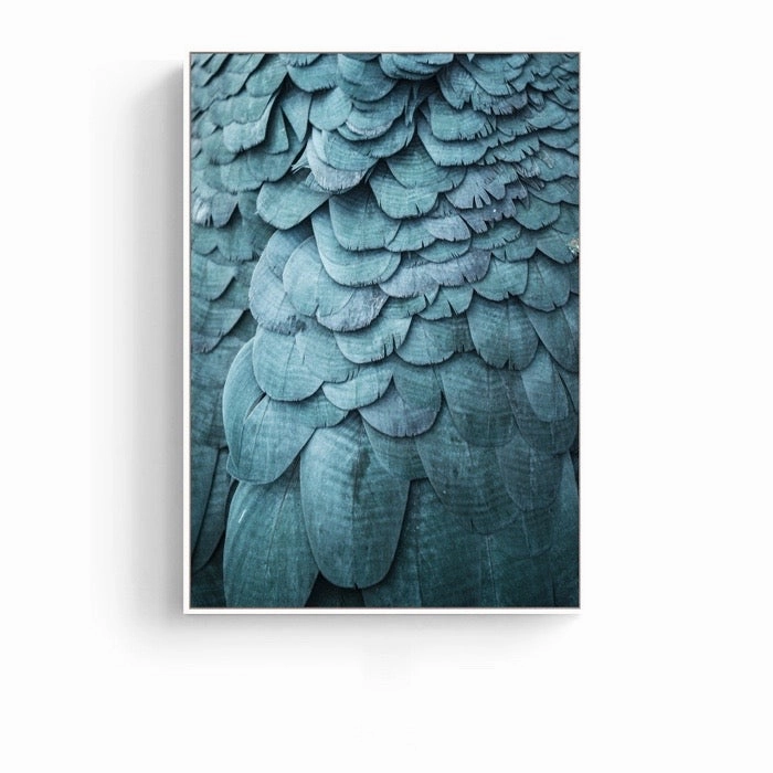 Feathers Photographic Wall Art with Frame