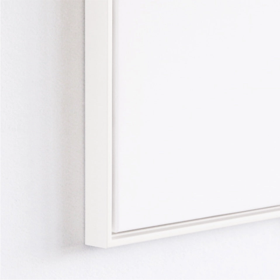 Feathers Photographic Wall Art with Frame