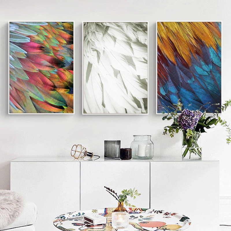 Feathers Photographic Wall Art with Frame