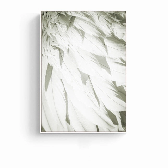 Feathers Photographic Wall Art with Frame