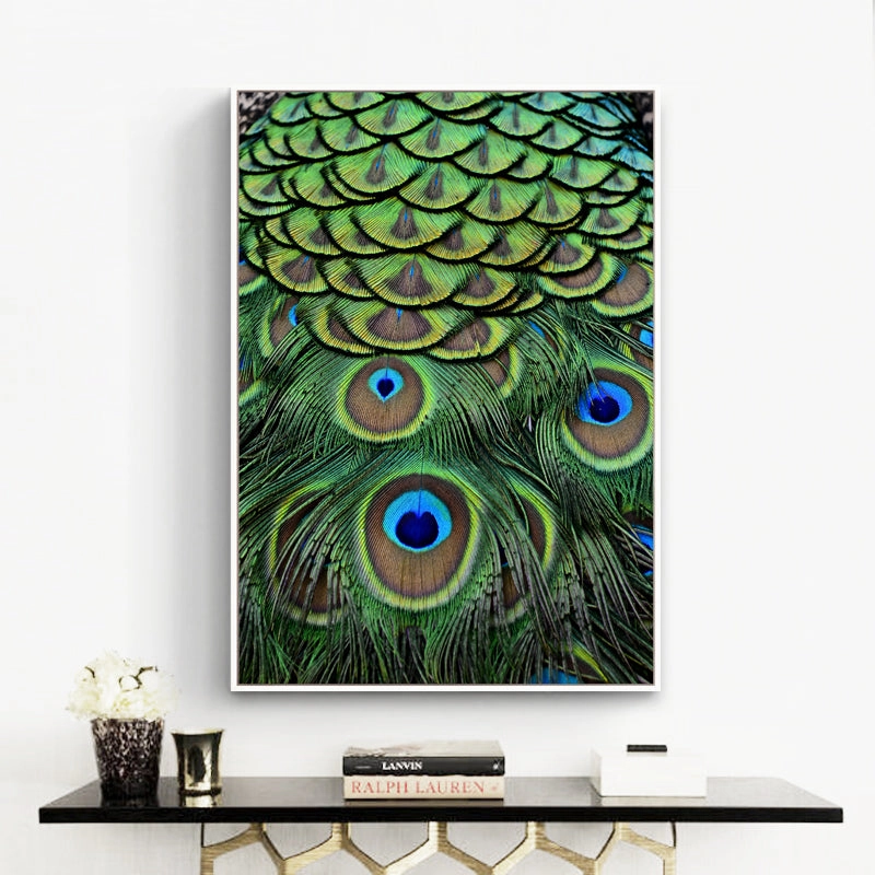 Feathers Photographic Wall Art with Frame