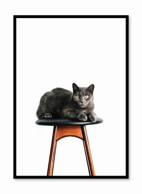 Feline Portrait, Posterpop culture themed posters
