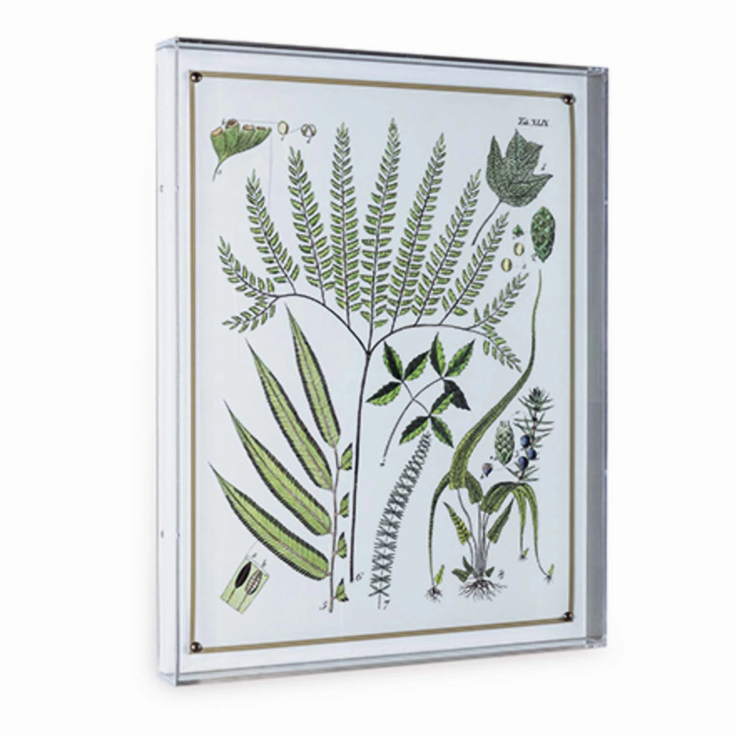 Ferns Panel #194 - 26"x20"