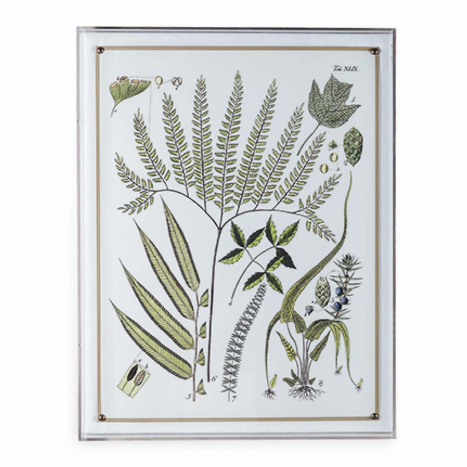 Ferns Panel #194 - 26"x20"bedding sets ,throw blankets 