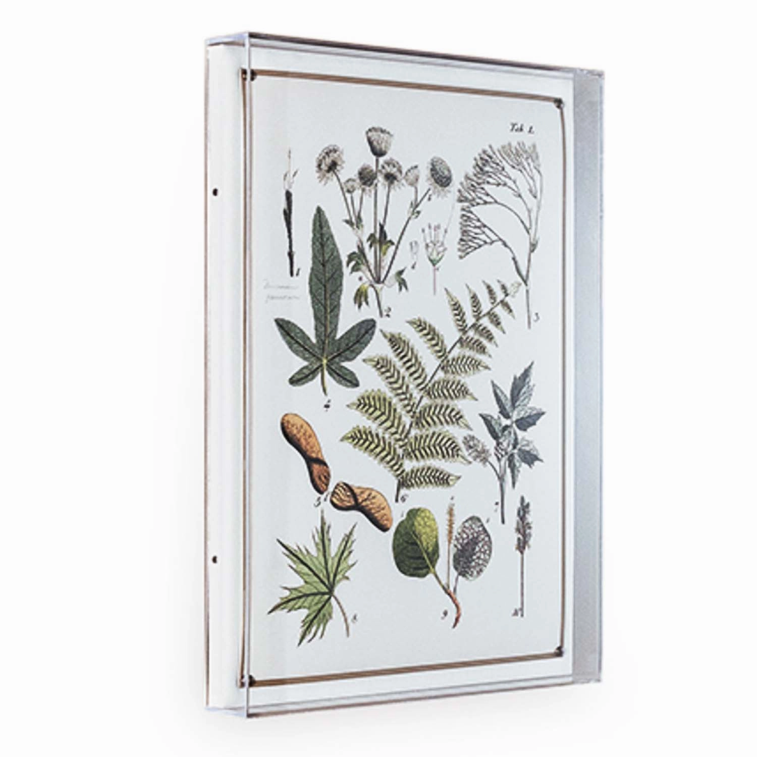 Ferns Panel #196 - 26"x20"