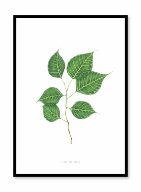 Ficus Religiosa, Posterpop culture themed posters