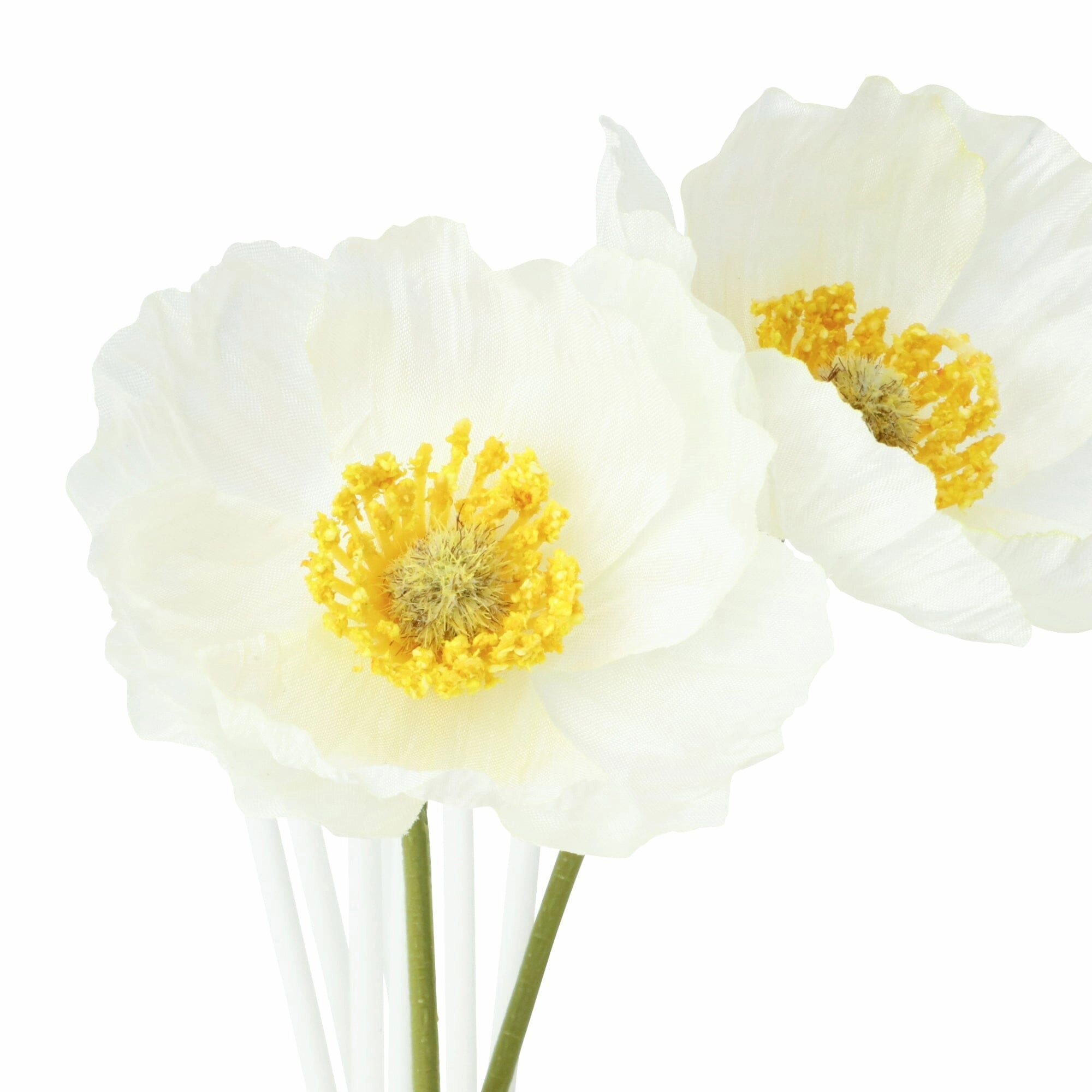 Fleurir Fragrance Diffuser  Brown (Refreshing Green And Floral Scent)