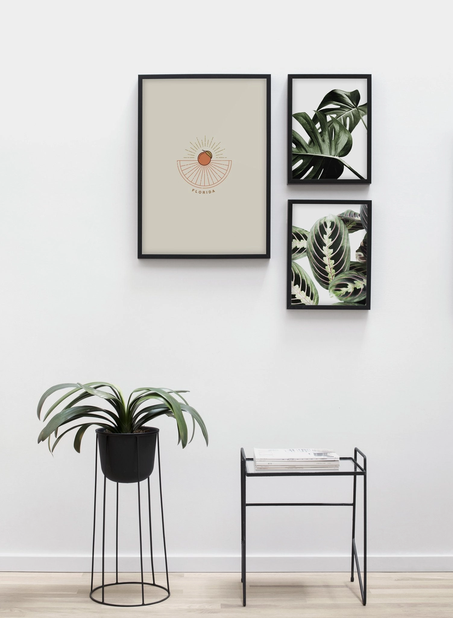 Florida, Poster