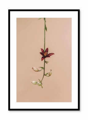Flower Drop, Posterpop culture themed posters