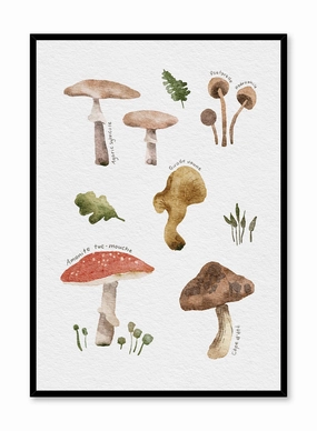 Foraging Mushrooms in French, Posterpop culture themed posters