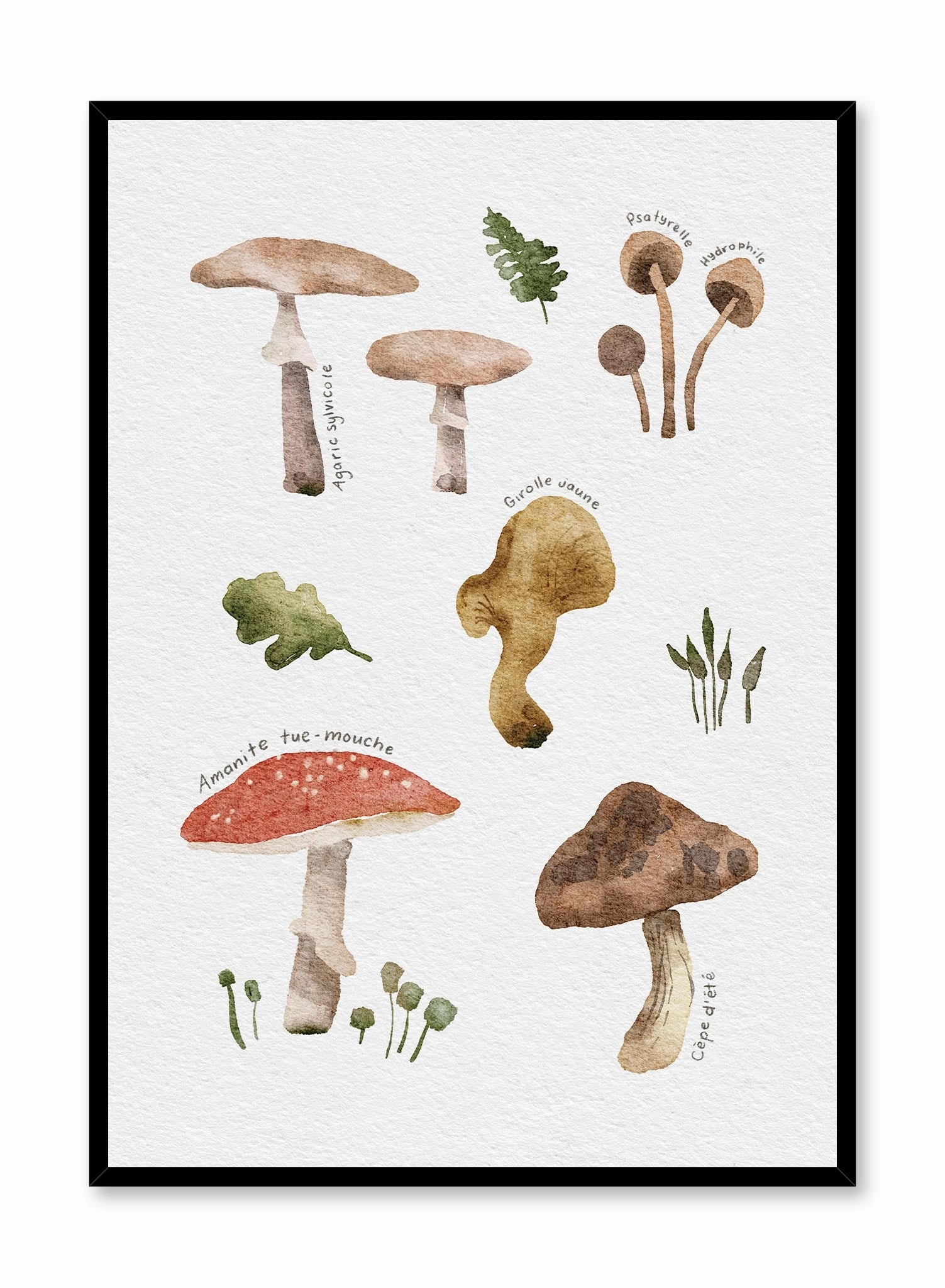 Foraging Mushrooms in French, Posterpop culture themed posters