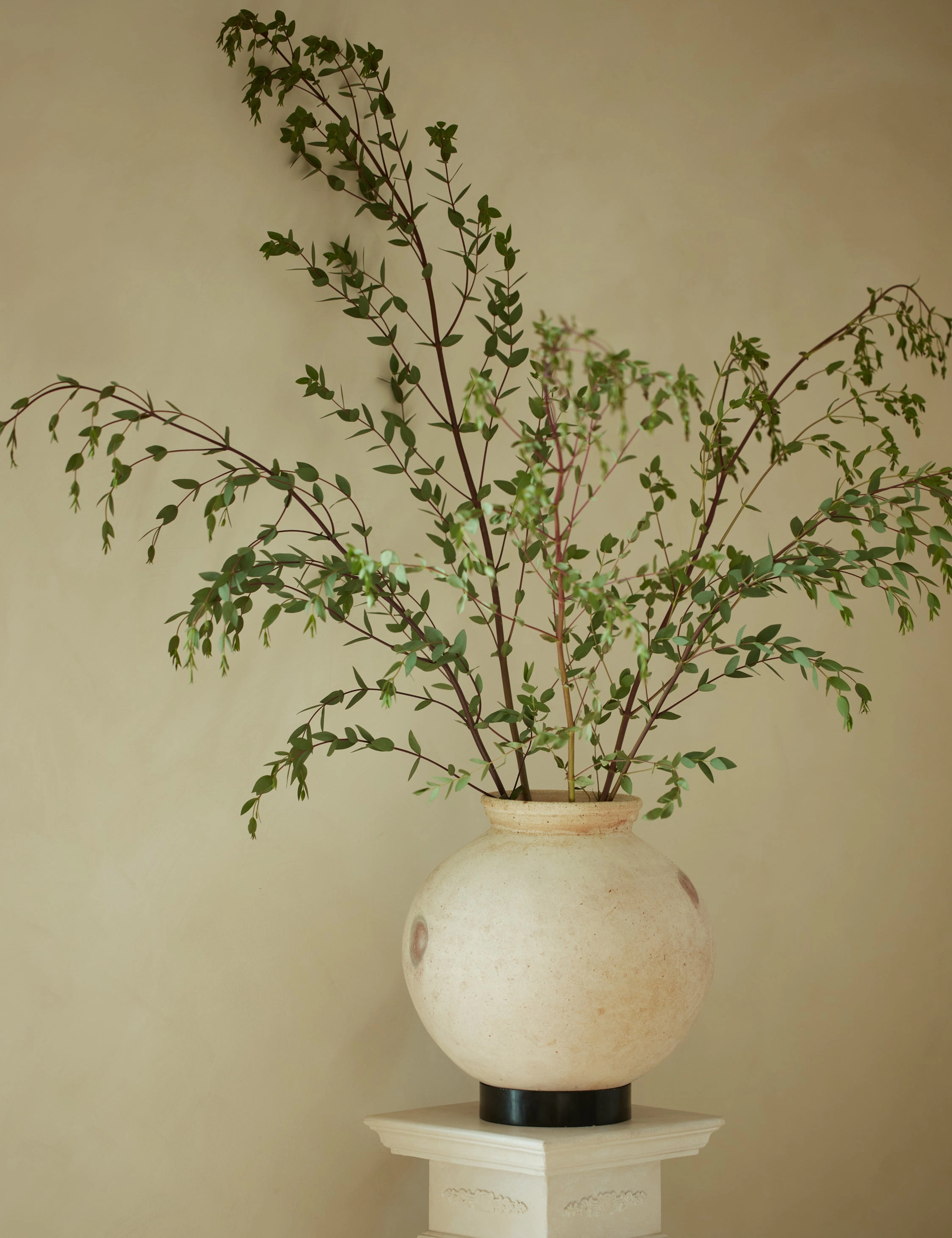Forba Pot