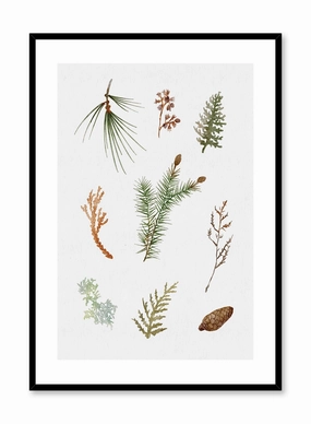 Forest Finds, Posterpop culture themed posters