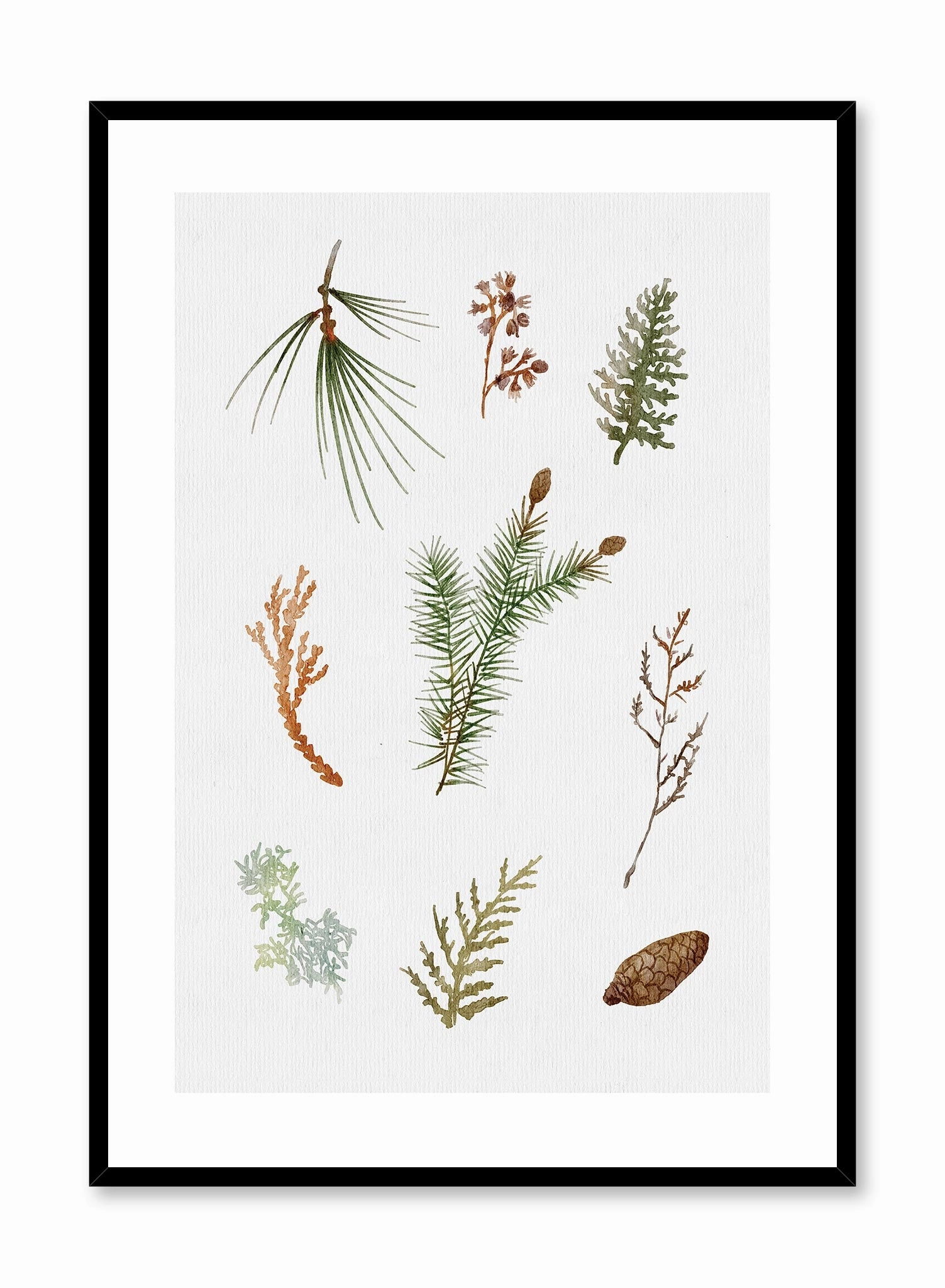 Forest Finds, Posterpop culture themed posters