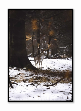 Forest Royalty, Posterpop culture themed posters