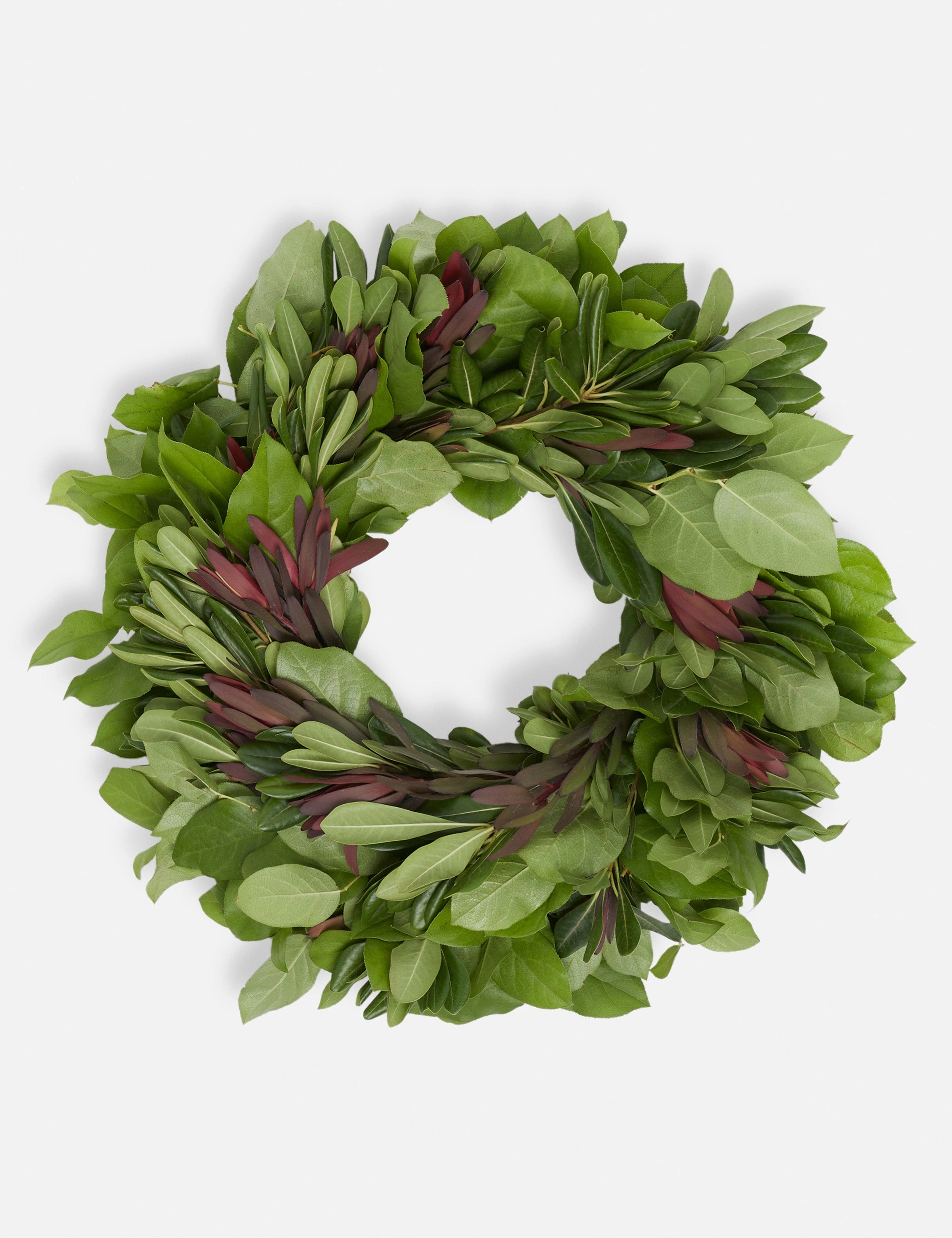 Fresh Handmade Lemon Leaf, Safari Sunset and Pitt Wreathhome decor ,wall decor 
