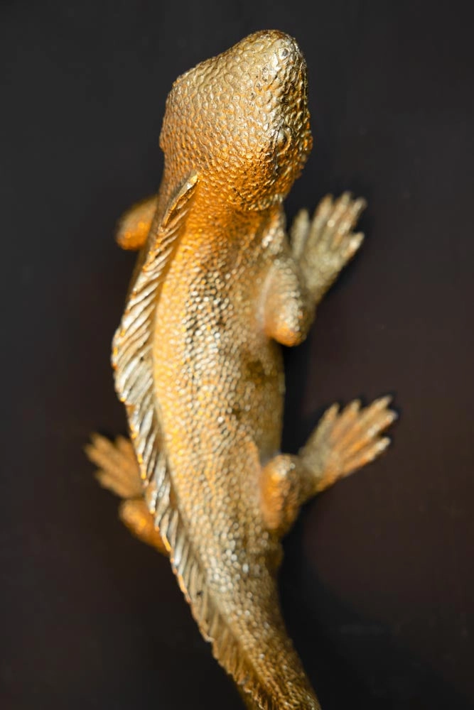 Gold Lizard Table/Wall Light