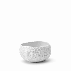 Haas Mojave Desert Bowlnordic minimalist vase