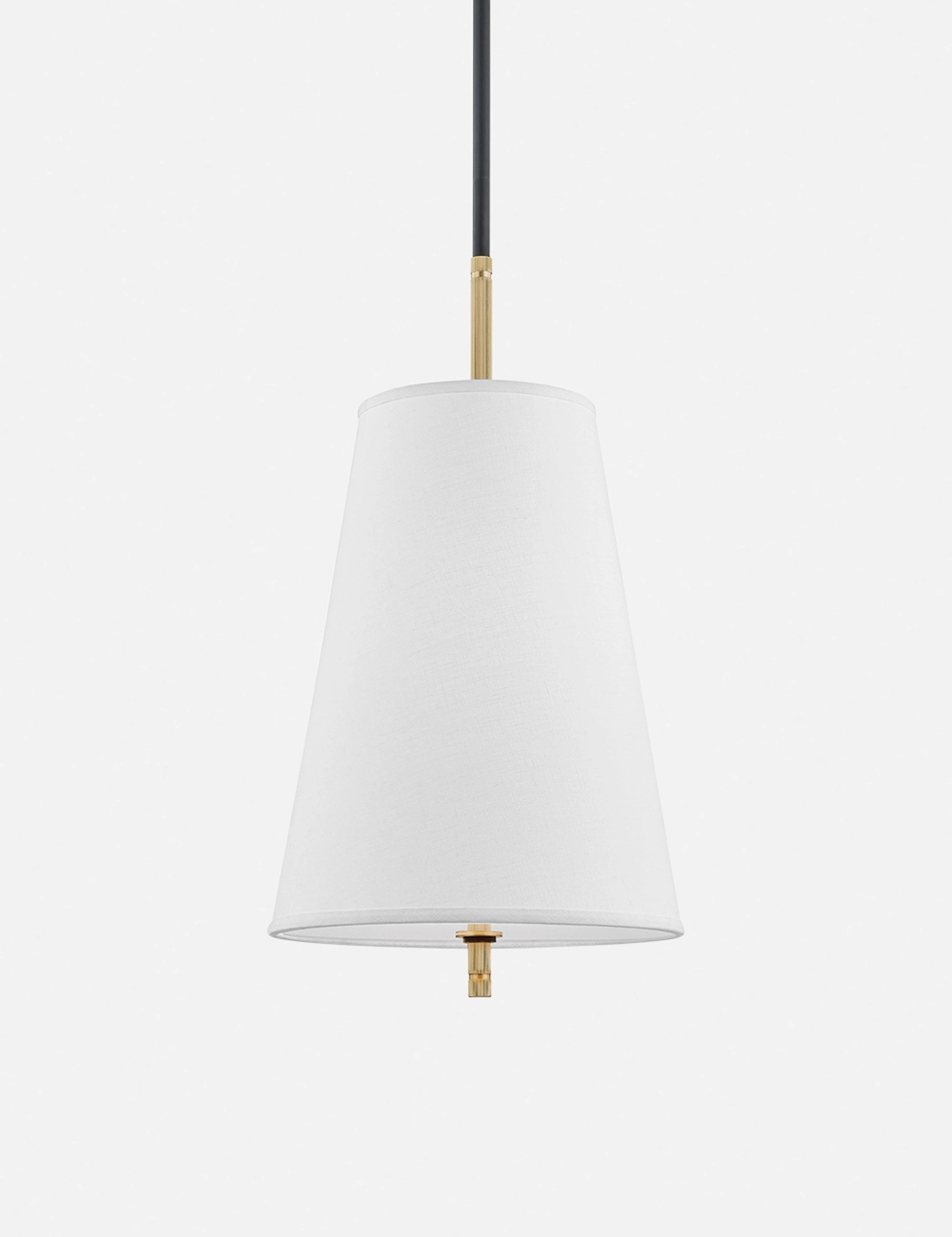 Hamilton Pendant Lightmodern chandelier,minimalist pendant light