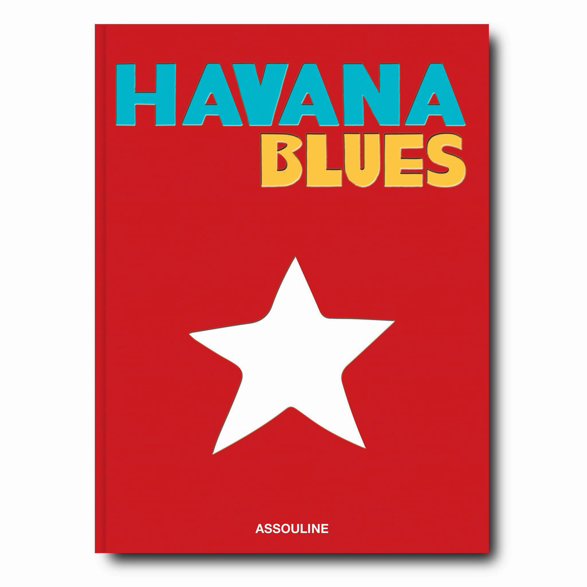 Havana Blueshome decoration ,modern home decor 
