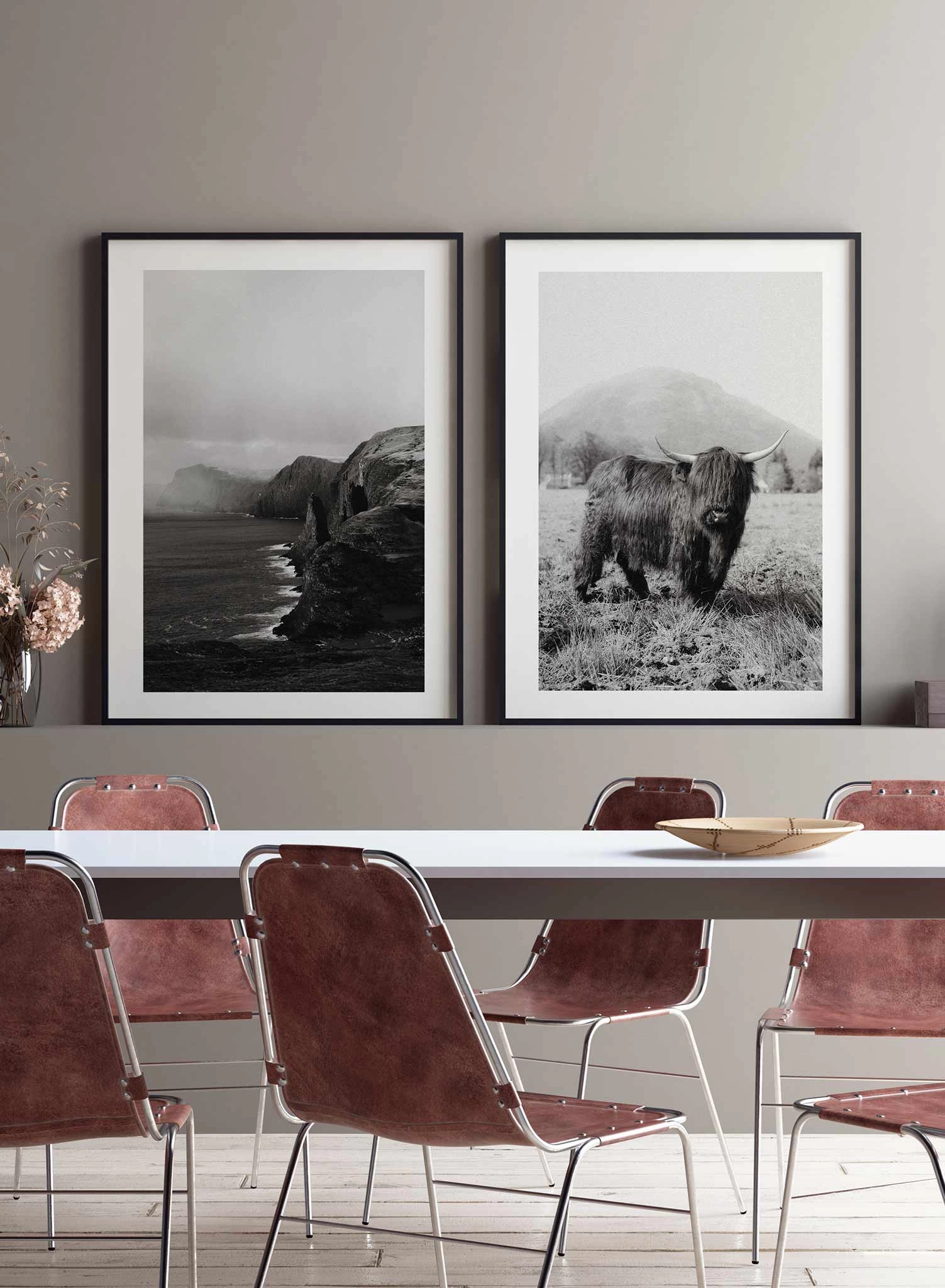 Highland Cow, Poster