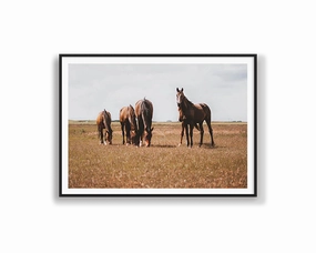 Horses Grazingnordic style wall decor