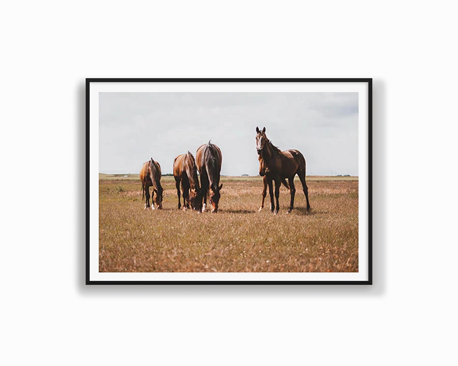 Horses Grazingnordic style wall decor