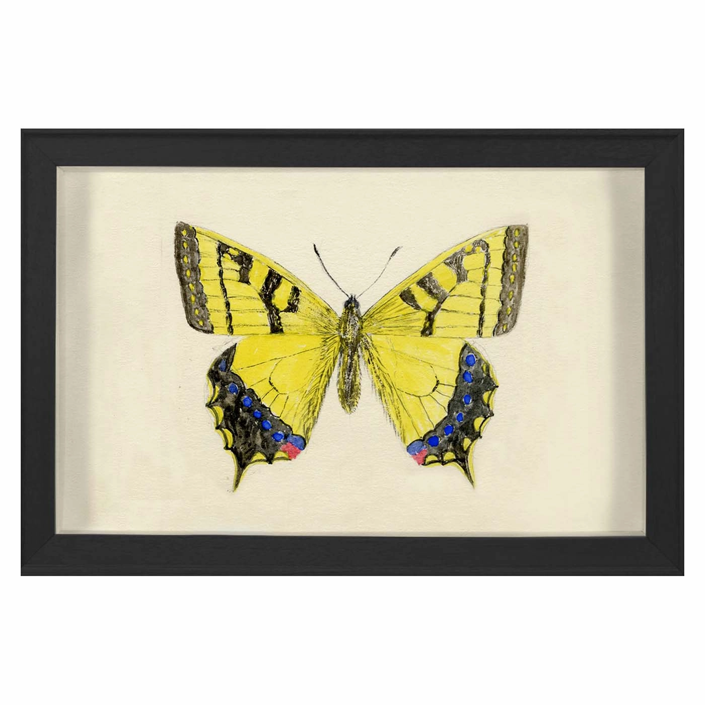 Hubbard Butterfly, Small: 1010nordic style wall decor