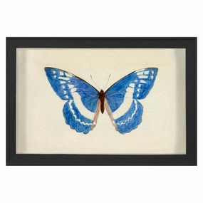 Hubbard Butterfly, Small: 135nordic style wall decor