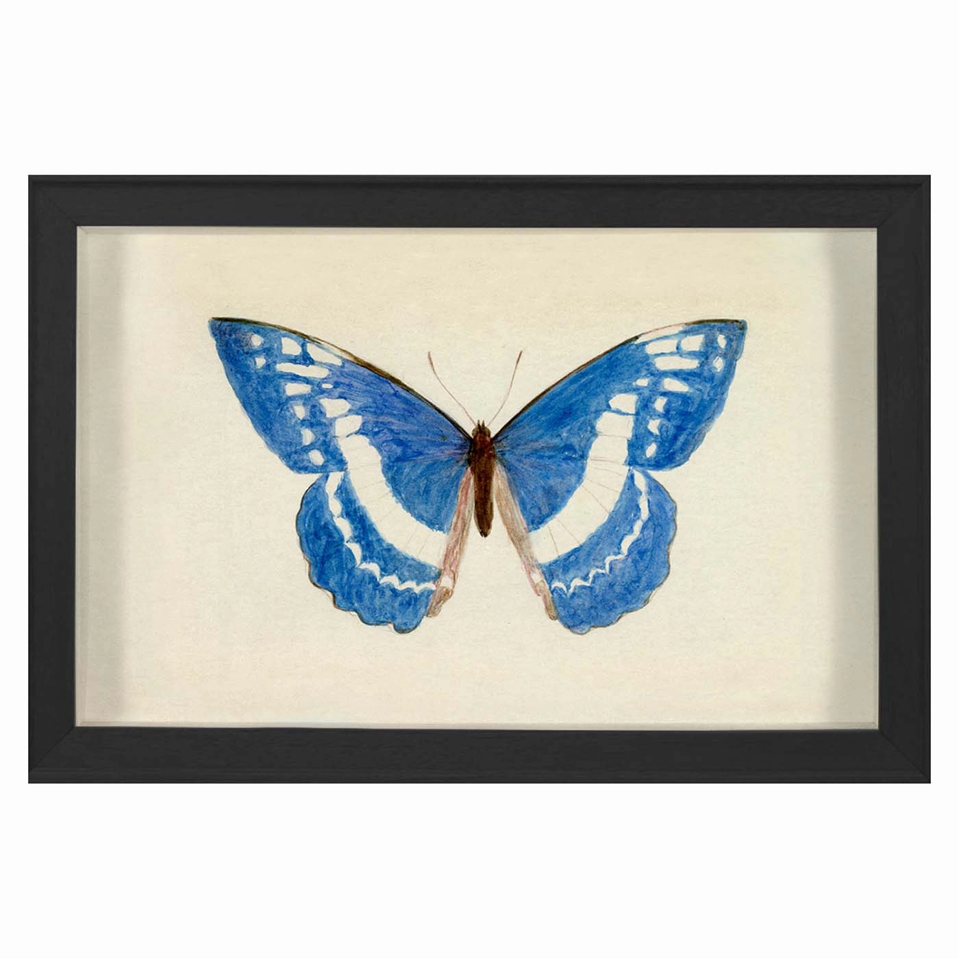 Hubbard Butterfly, Small: 135nordic style wall decor
