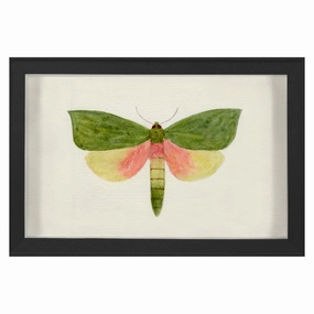Hubbard Butterfly, Small: 146nordic style wall decor